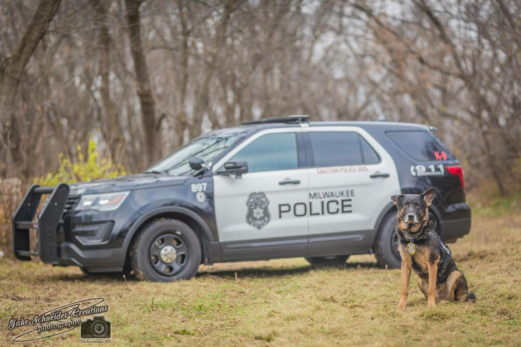 Vehicle & K9 Patrols